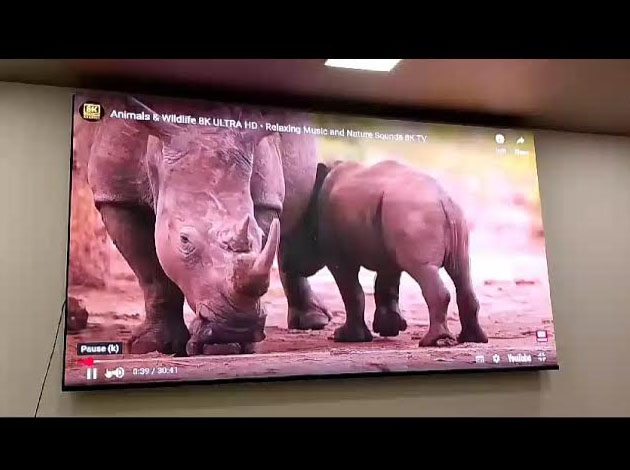Indoor LED Video Wall For hall